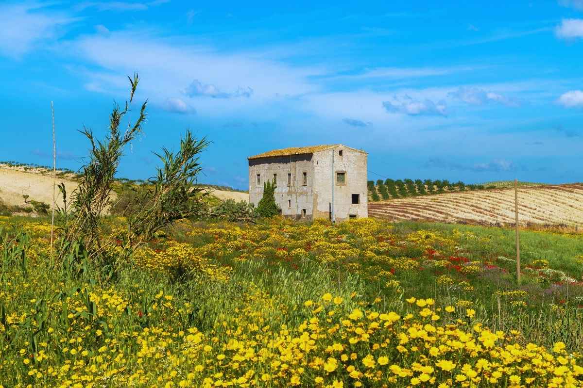 Caltanisetta e provincia